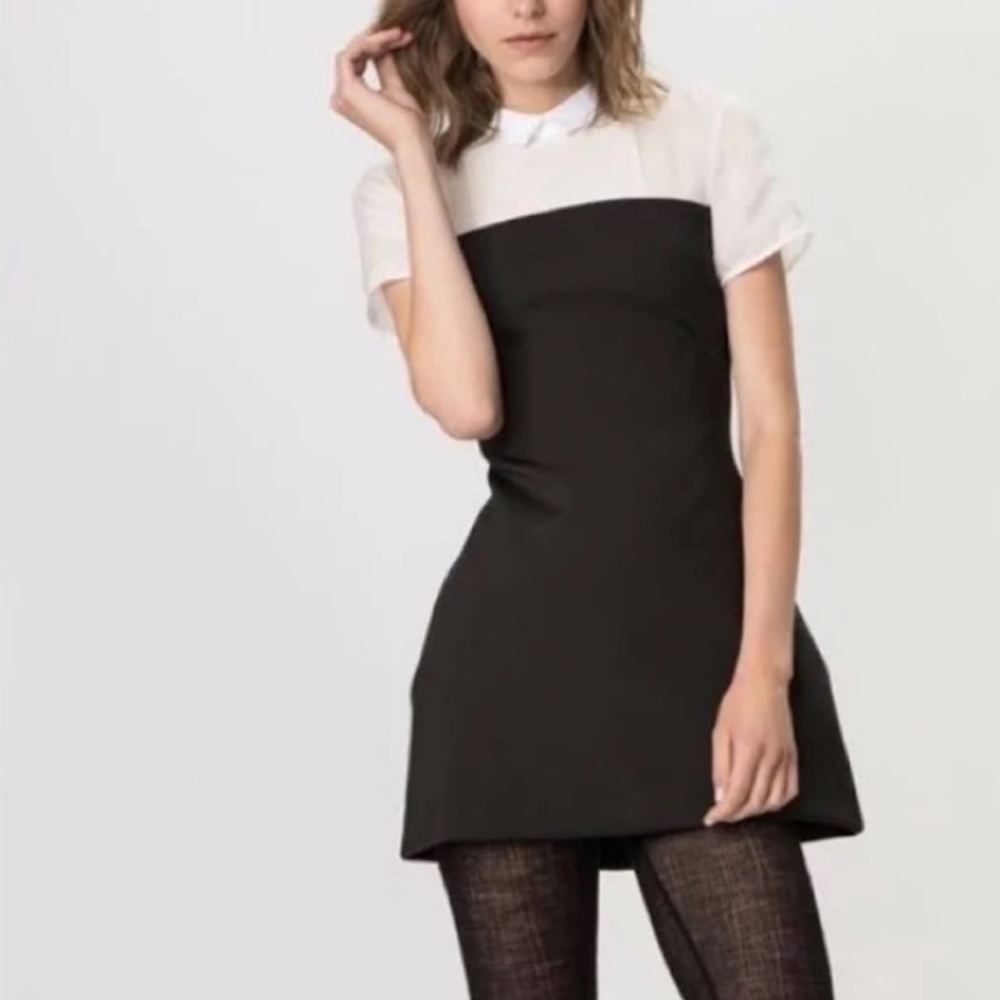 Maje | Black White | Sheer Shirt Top Collar Pencil Dress